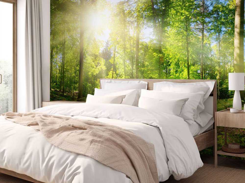 Une forêt avec des rayons de soleil