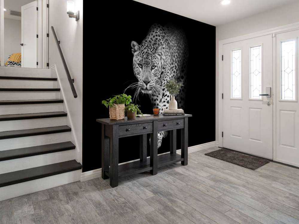 Léopard sur fond noir