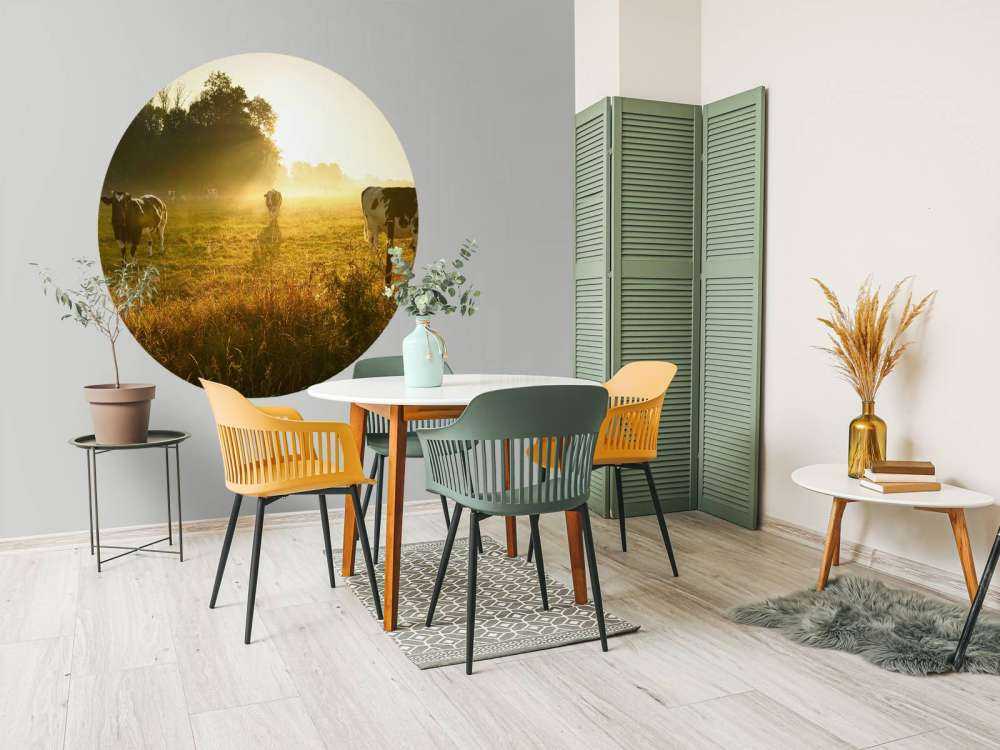 Vache au lever du soleil