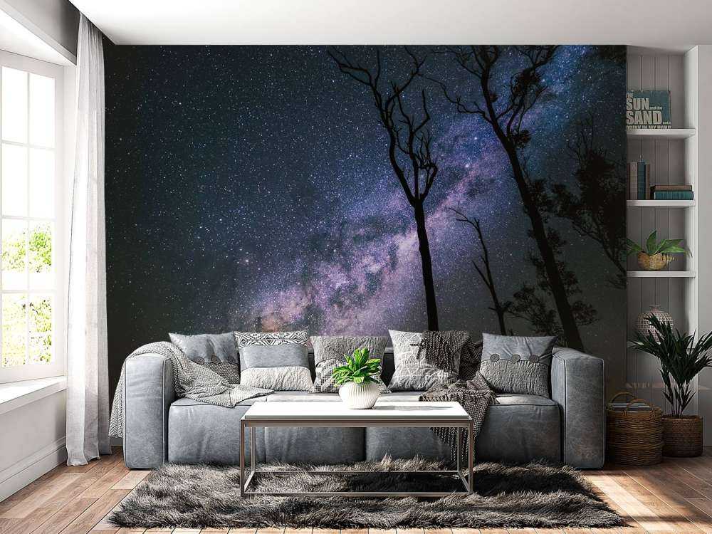 Des étoiles entre les arbres