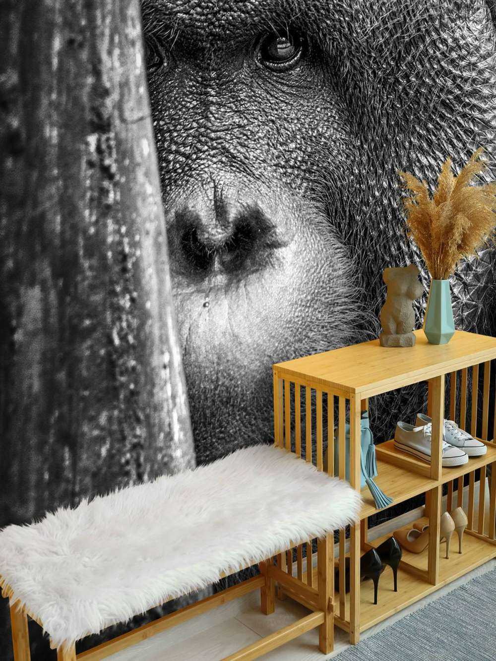 Orang-outan noir et blanc