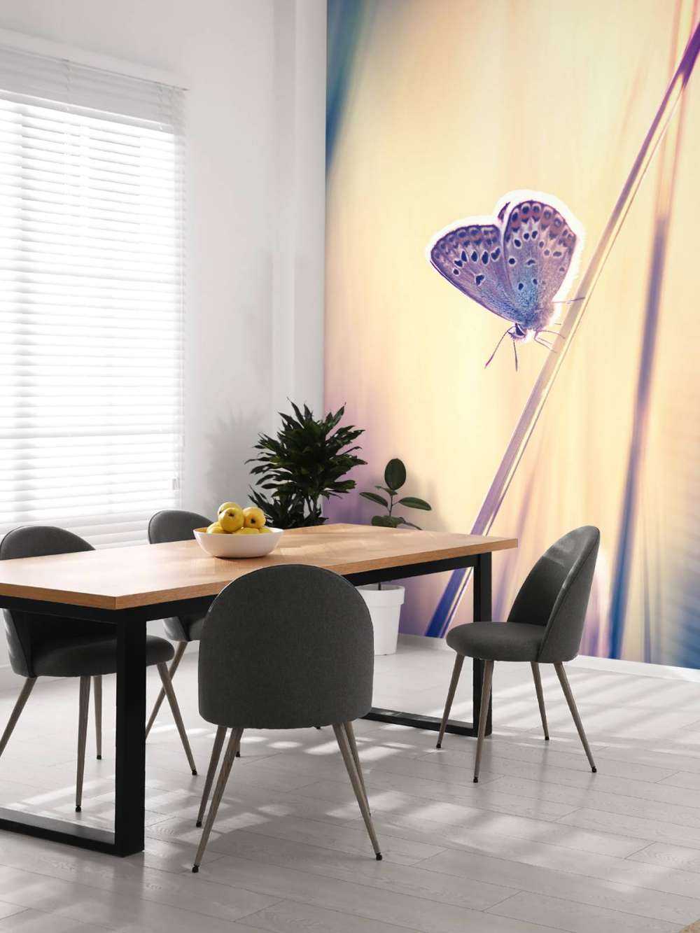 Papillon de rêve