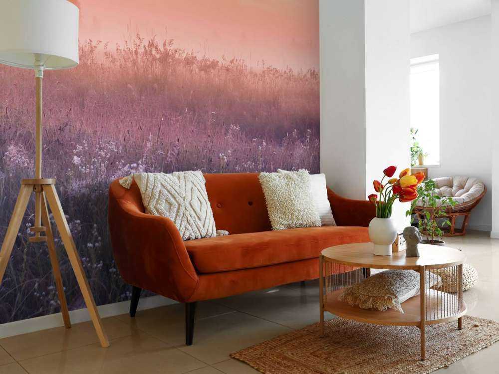 Champ avec brume du matin