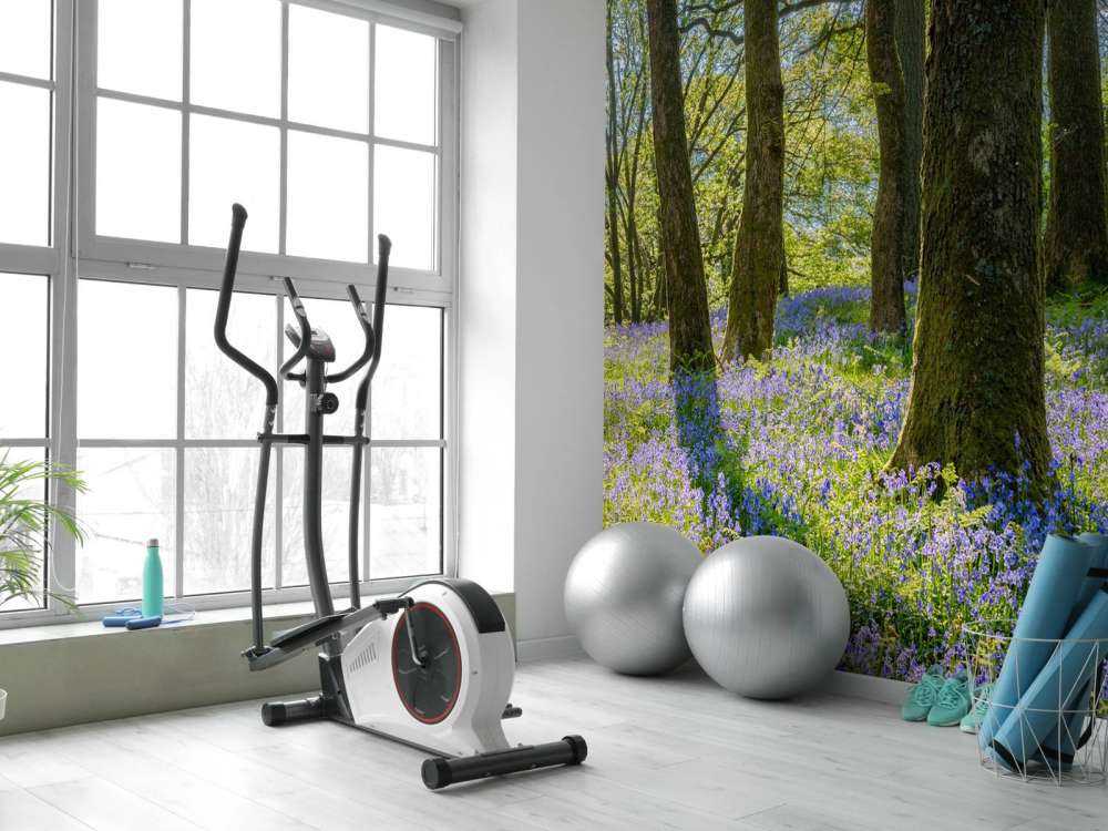 Panorama printanier en forêt