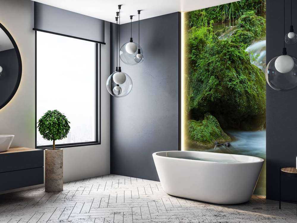 Chute d'eau dans la forêt