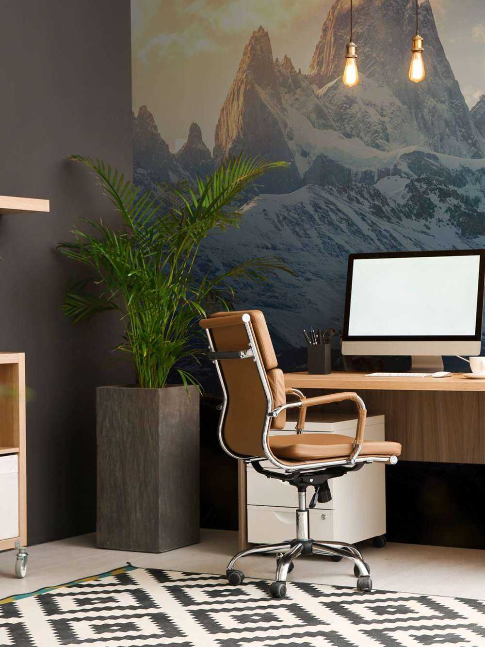 Guanaco devant les sommets enneigés de la Patagonie.