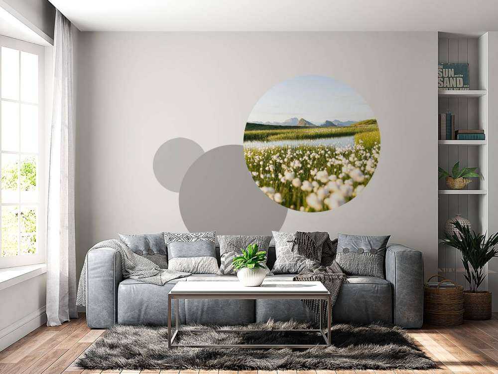 Lumière estivale sur un paysage tourbeux fleuri