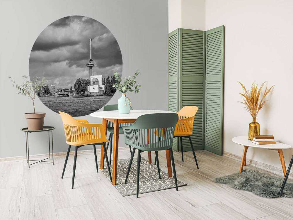 Euromast et Maas en monochrome