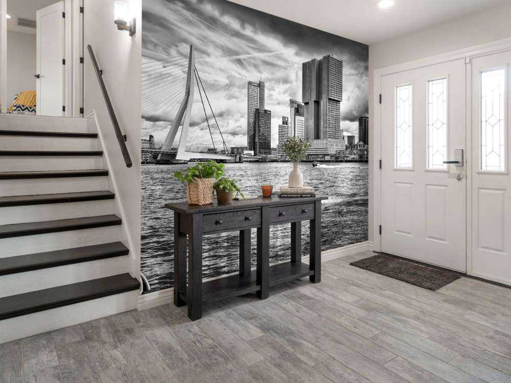 Erasmusbrug et Skyline en Monochrome