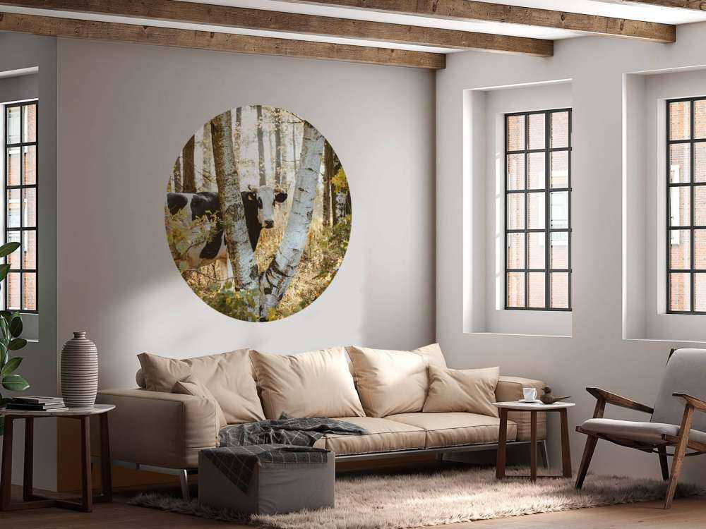 Vache curieuse dans la forêt