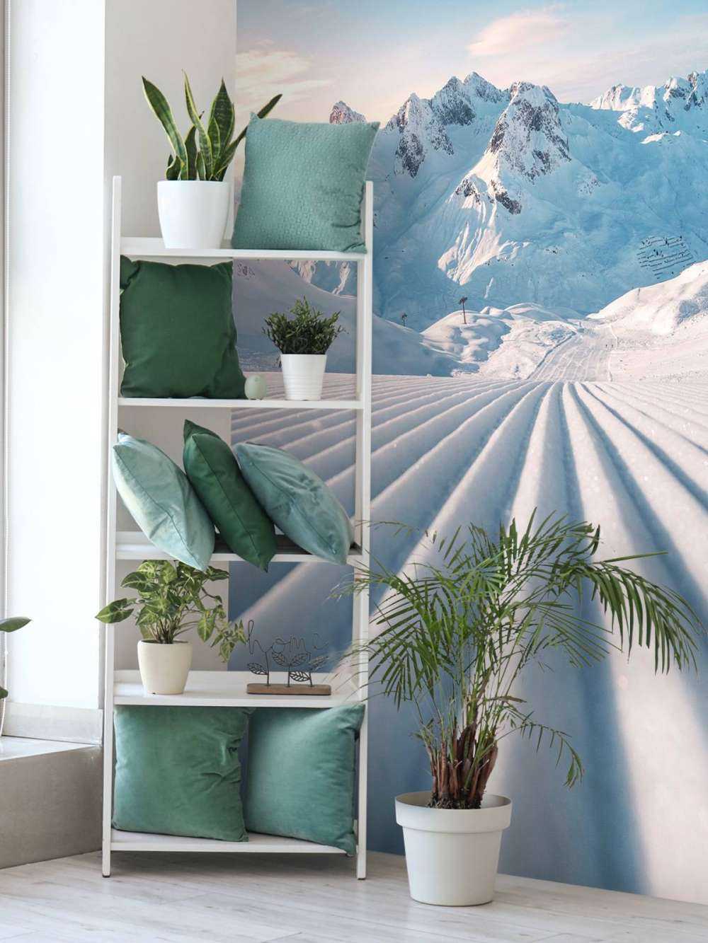 Traces dans la neige de montagne