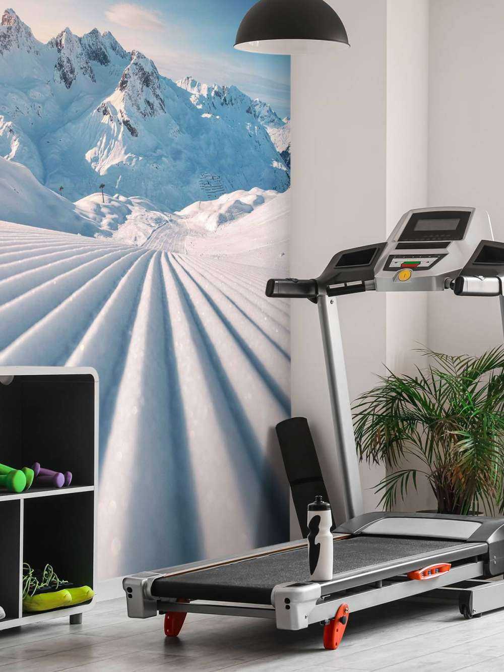 Traces dans la neige de montagne