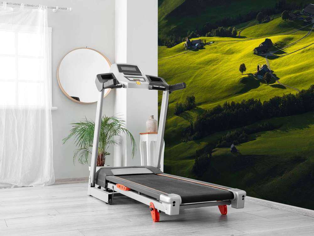 Collines vallonnées à la lumière du soir.