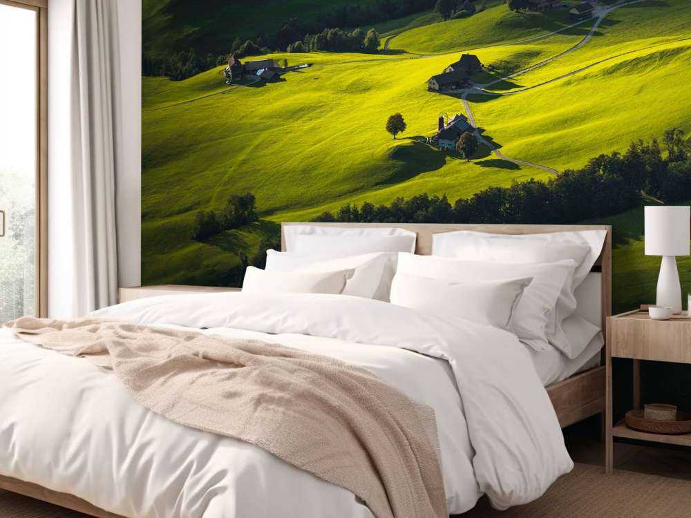 Collines vallonnées à la lumière du soir.