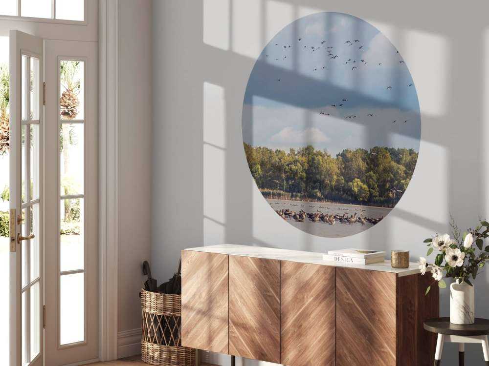 Vol au-dessus de l'eau