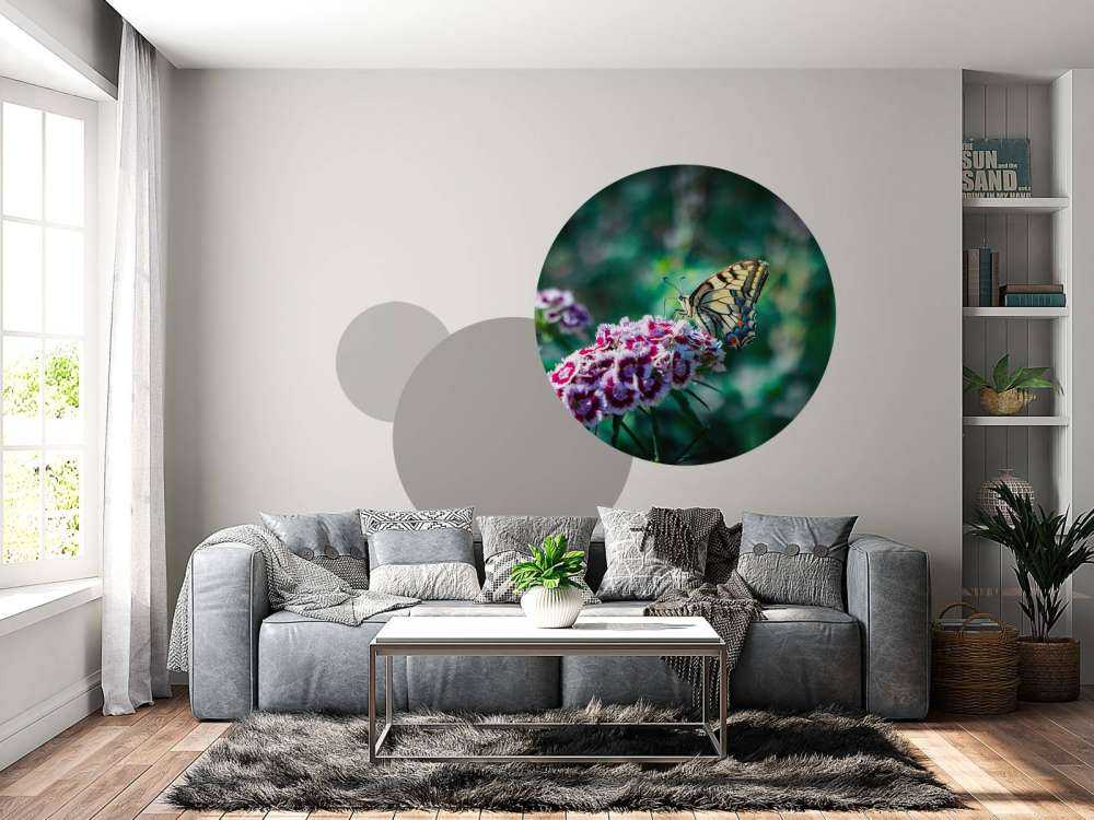 Papillon sur des fleurs estivales