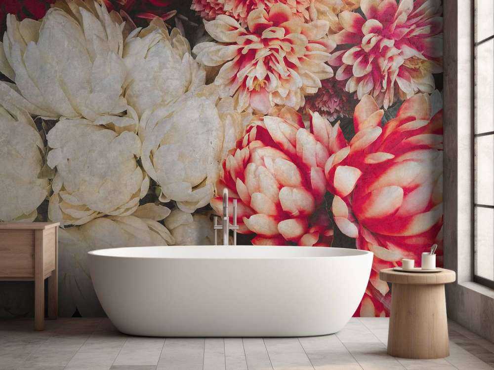 Chrysanthèmes en crème et carmin