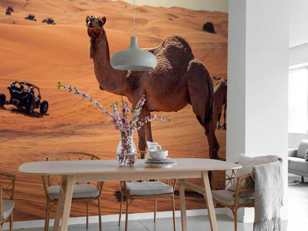 Aventure tout-terrain dans le désert