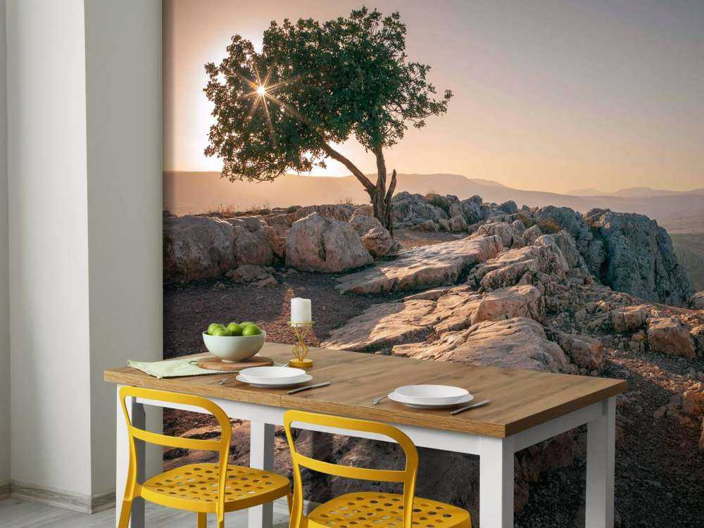 Arbre solitaire sur un paysage rocheux