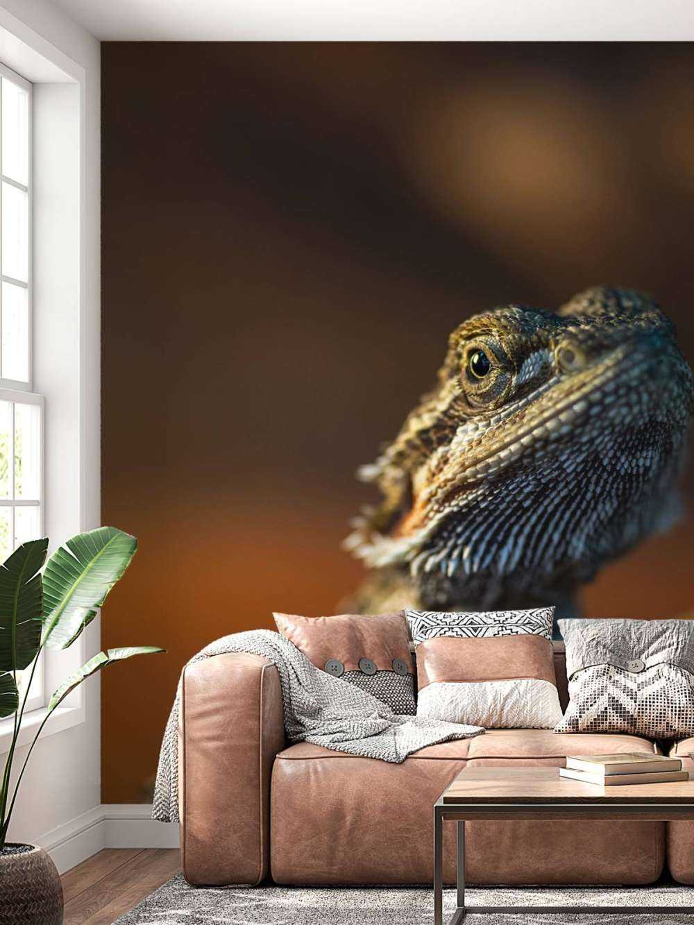 Gros plan d'un caméléon