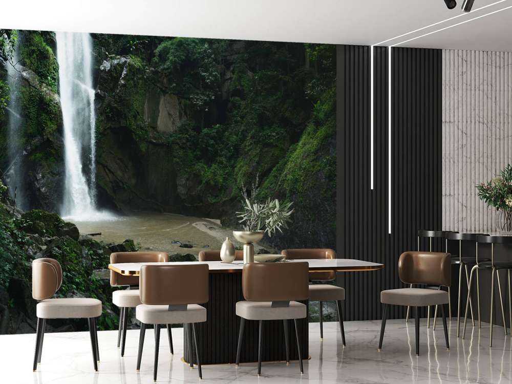 Chute d'eau dans une forêt profonde