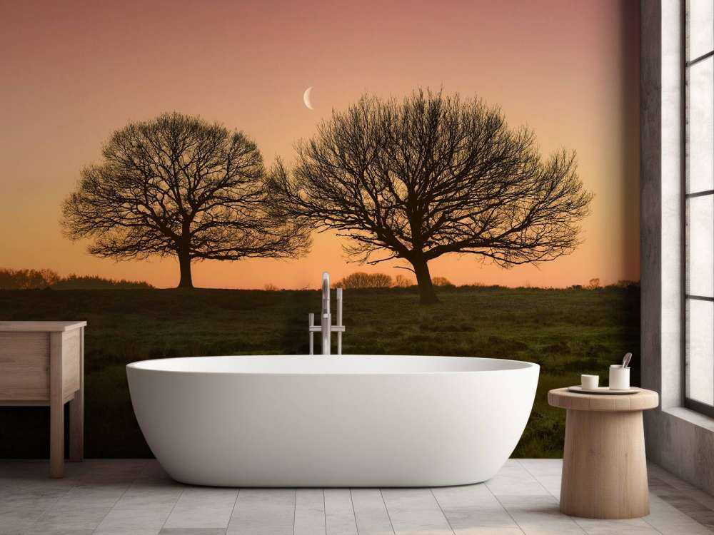 La lune entre les arbres