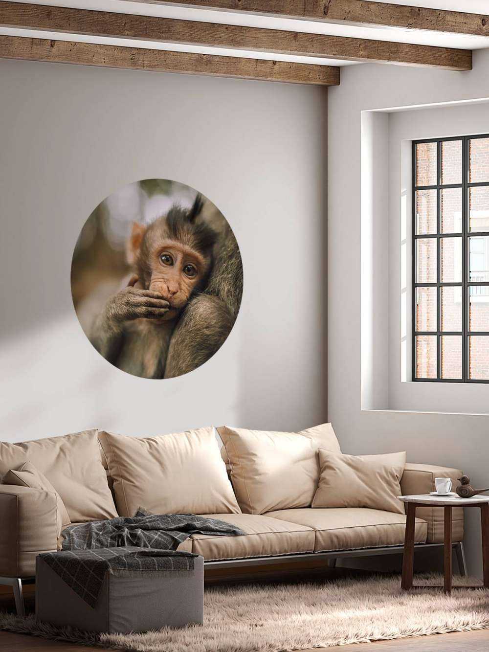 Gros plan d'un petit singe