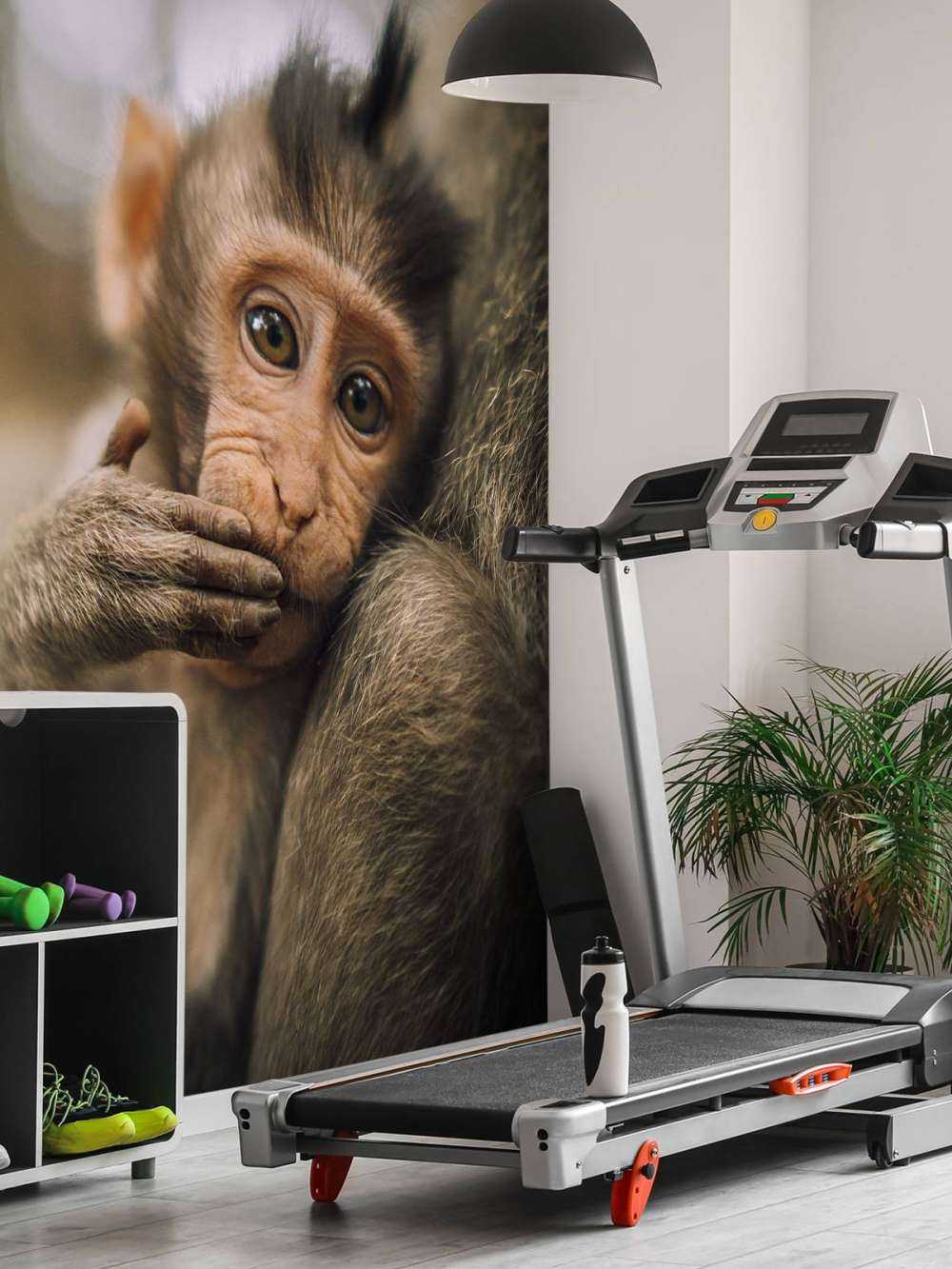 Gros plan d'un petit singe