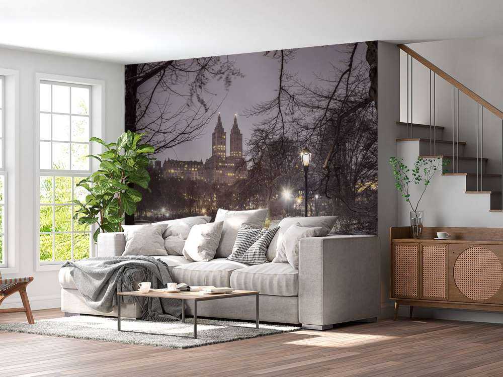 Central park couvert de neige