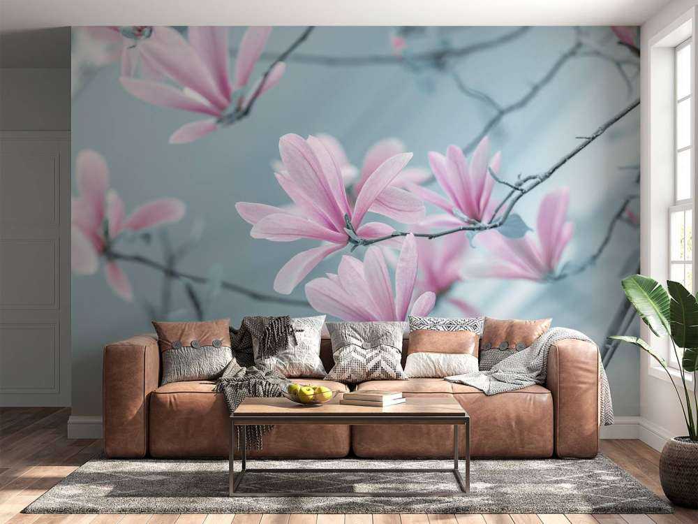 Fleurs de magnolia