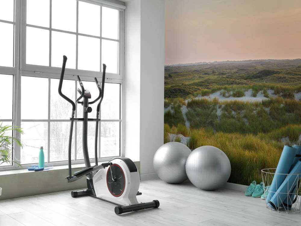 Coucher de soleil dans les dunes