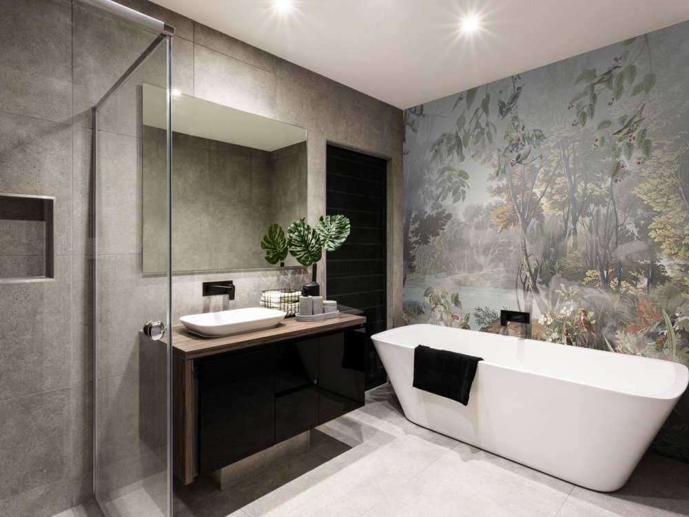 Oiseaux de la forêt mystique