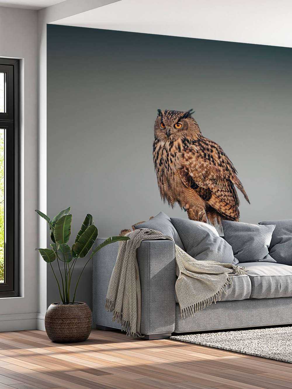 Hibou grand-duc
