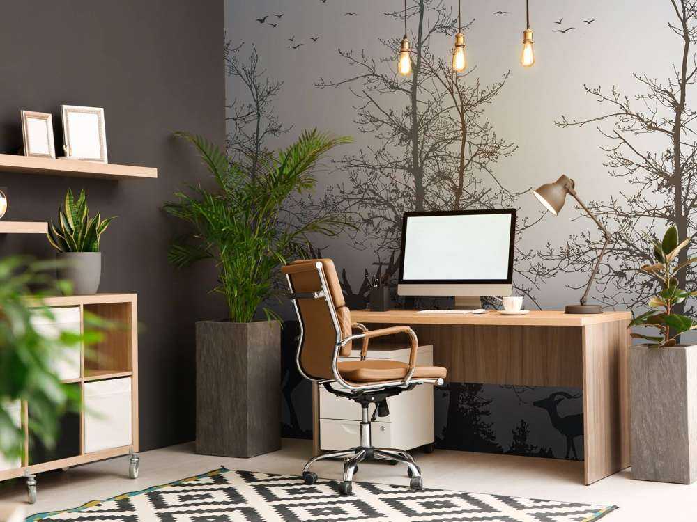 Contour de l'hiver Silence de la forêt