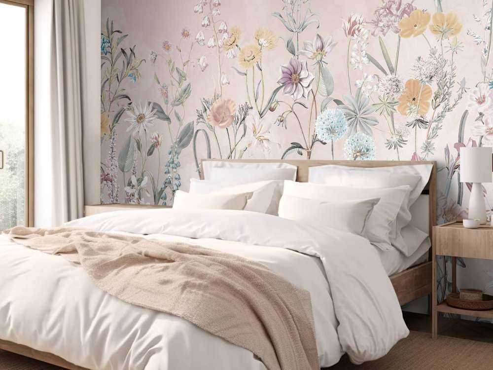 Primula 20