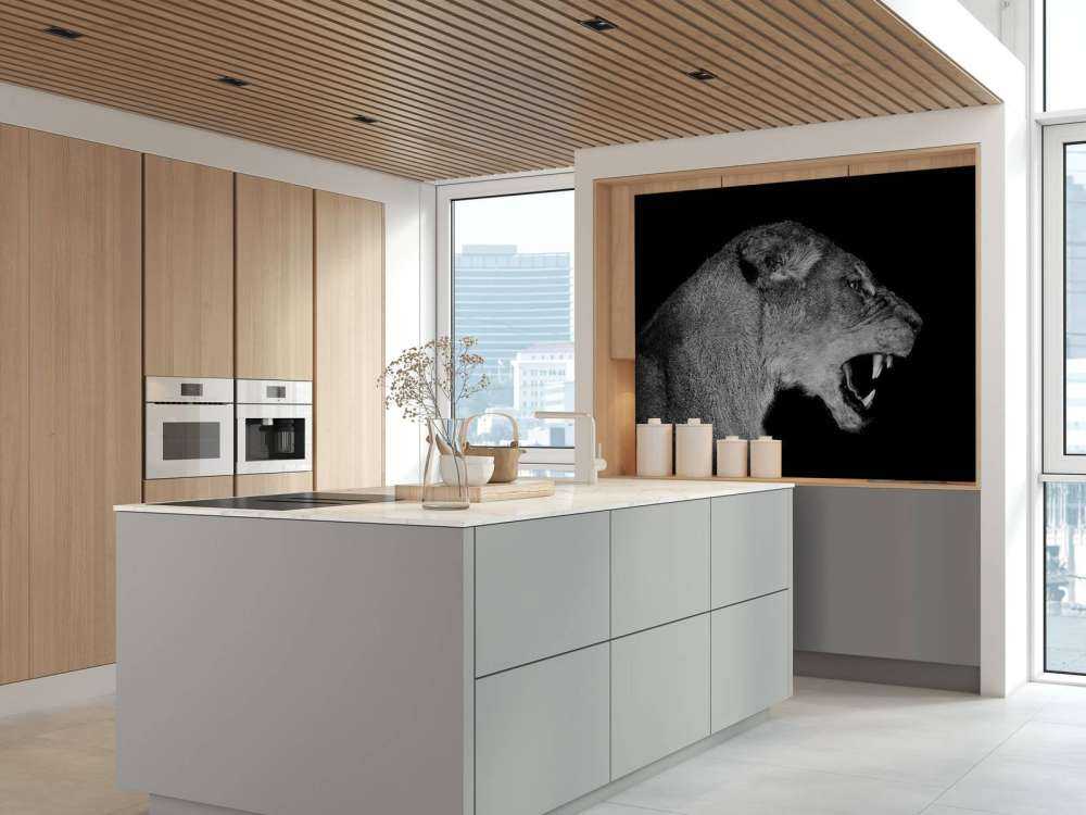 Lionne vue de côté noir