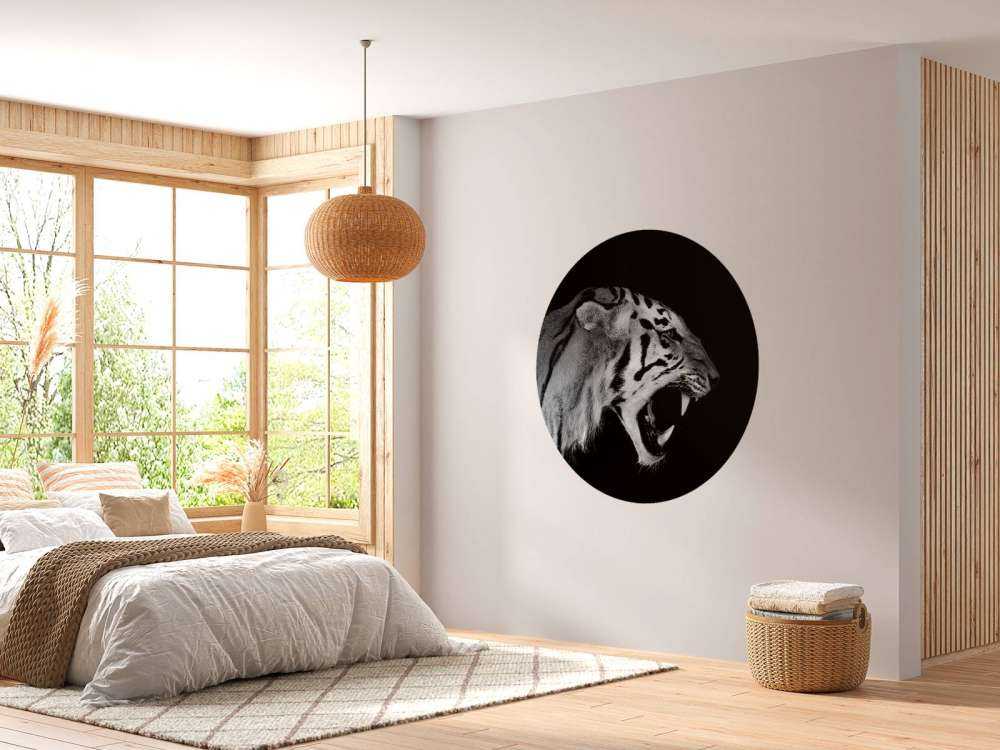 Tigre rugissant noir