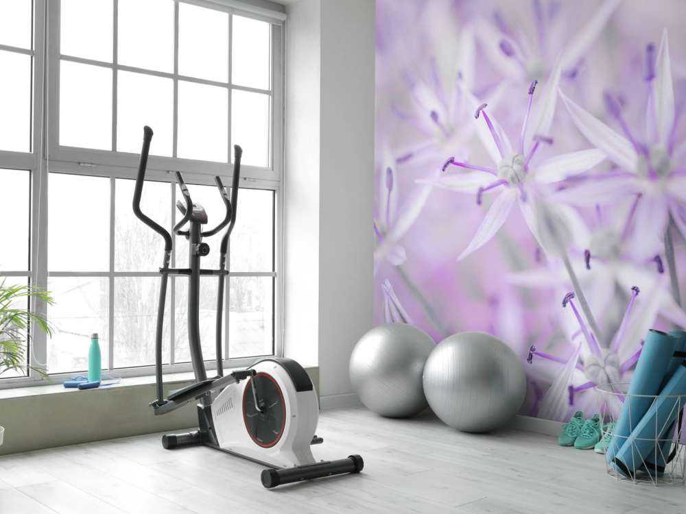 Fleurs d'allium en gros plan