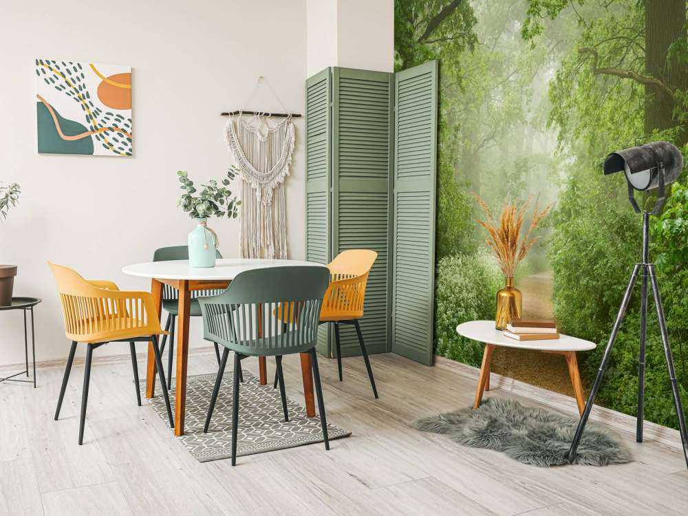 Forêt brumeuse avec chemin