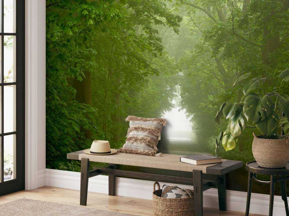 Forêt verte avec chemin brumeux