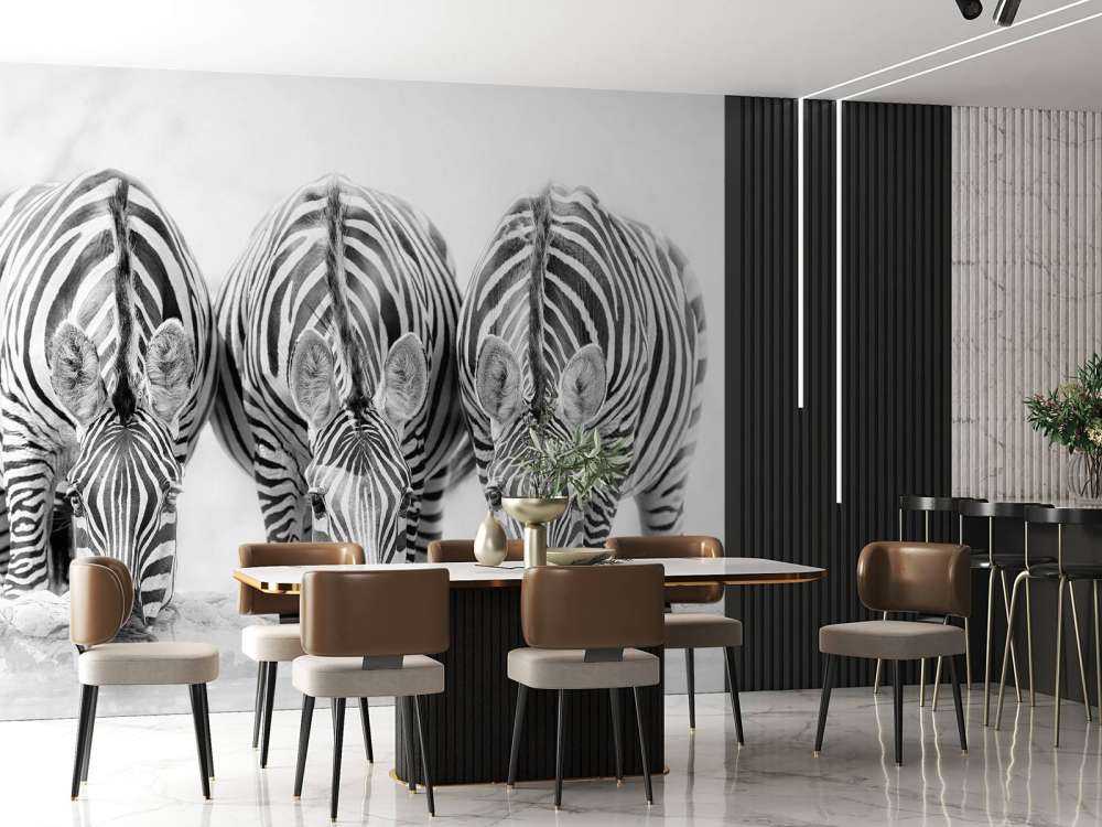 Three zebras