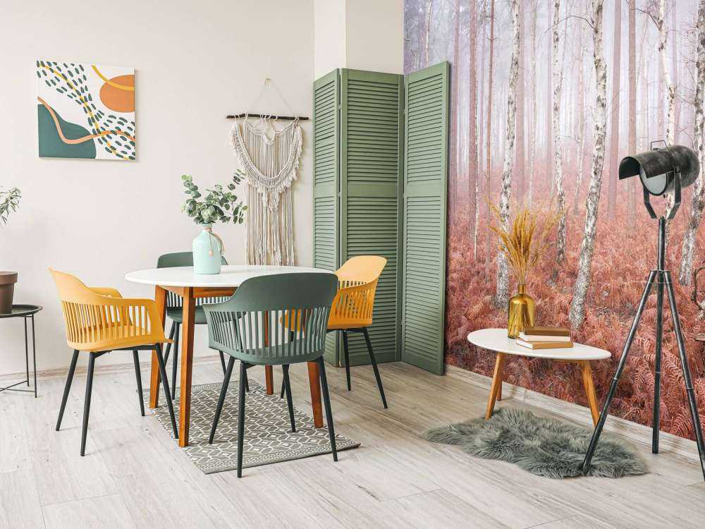 Forêt brumeuse abandonnée