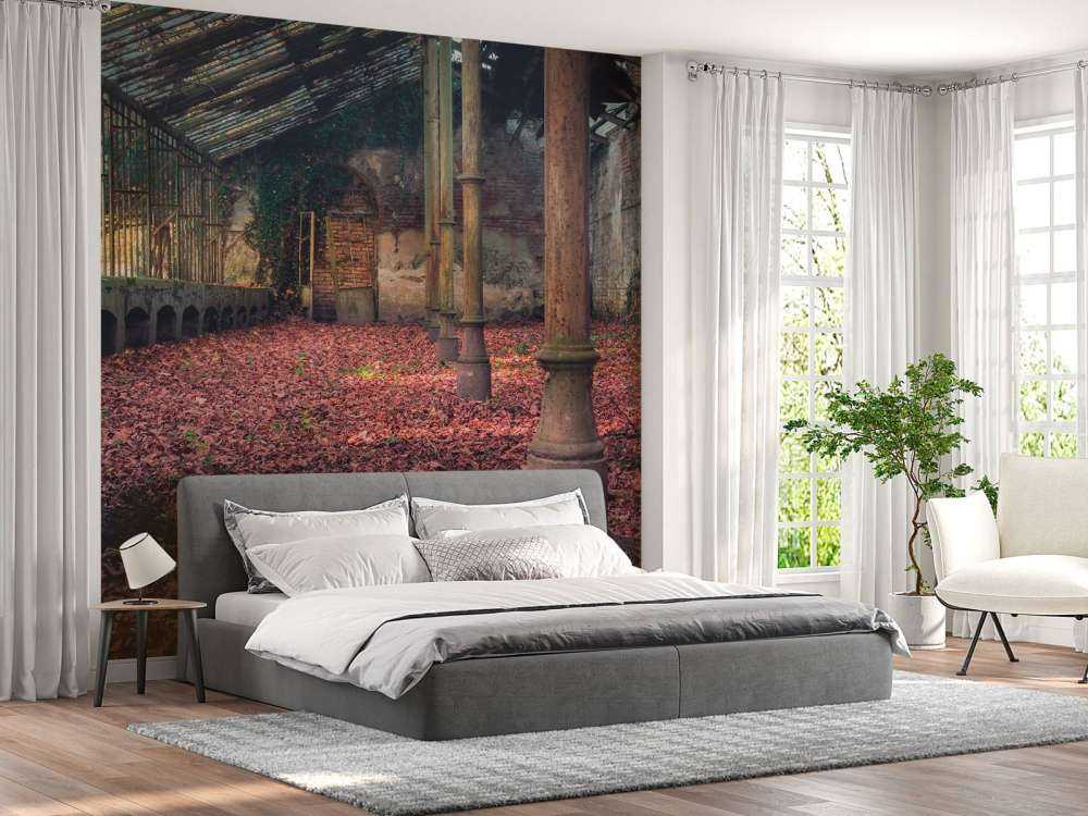 Maison abandonnée avec des feuilles