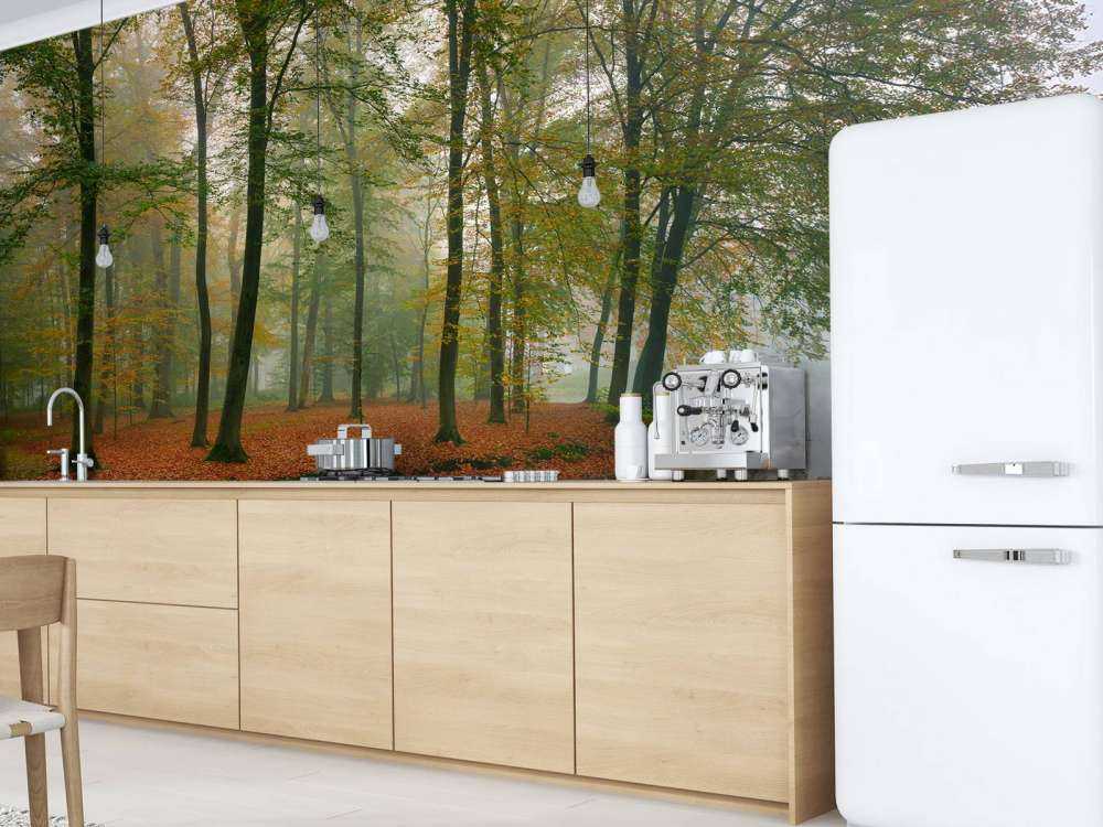 Réflexion d'arbres dans un étang