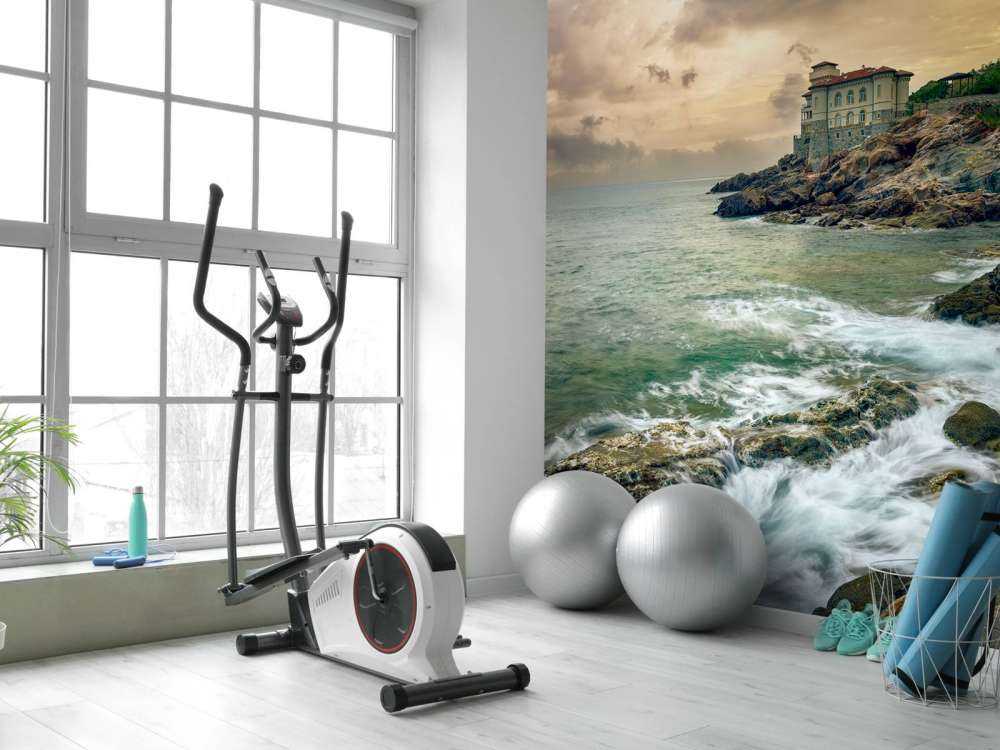 Vieux château sur la côte