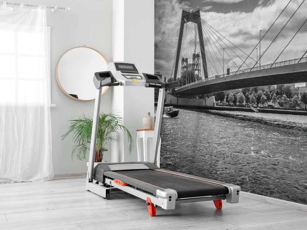 Le passage du pont Prince Willem Alexander à Rotterdam en noir et blanc  