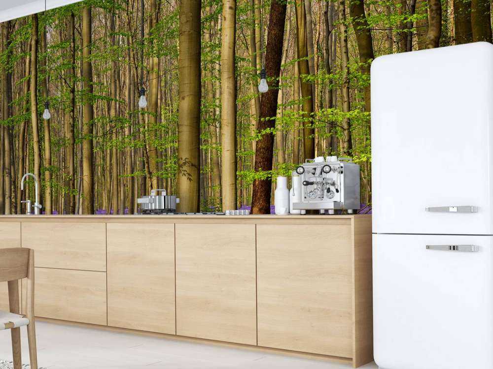 Forêt avec jacinthes des bois