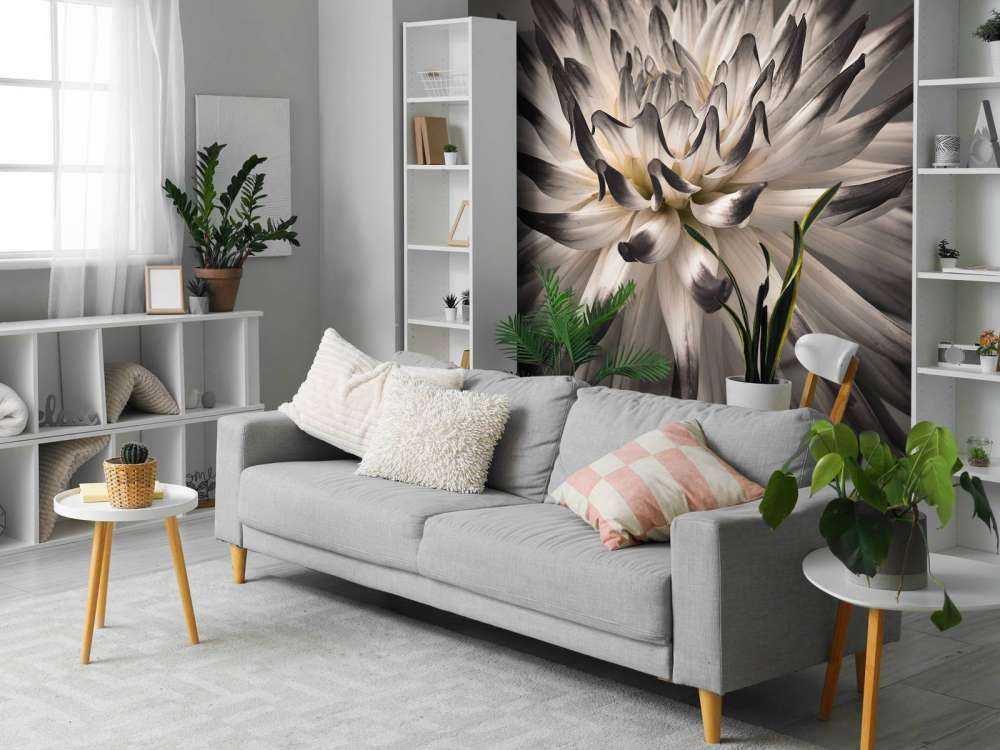 Fleur de dahlia noir et blanc