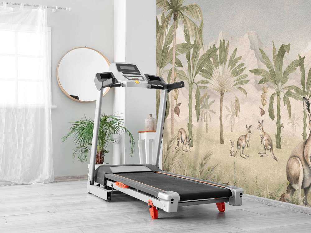 Paysage de kangourous