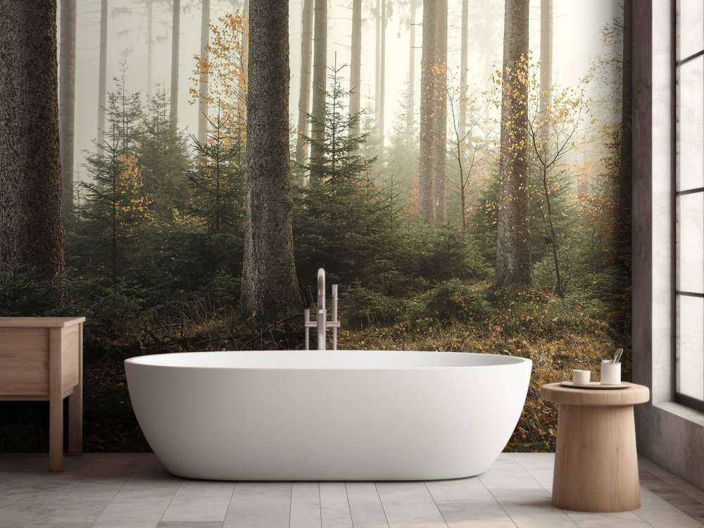 La forêt de Kaufunger